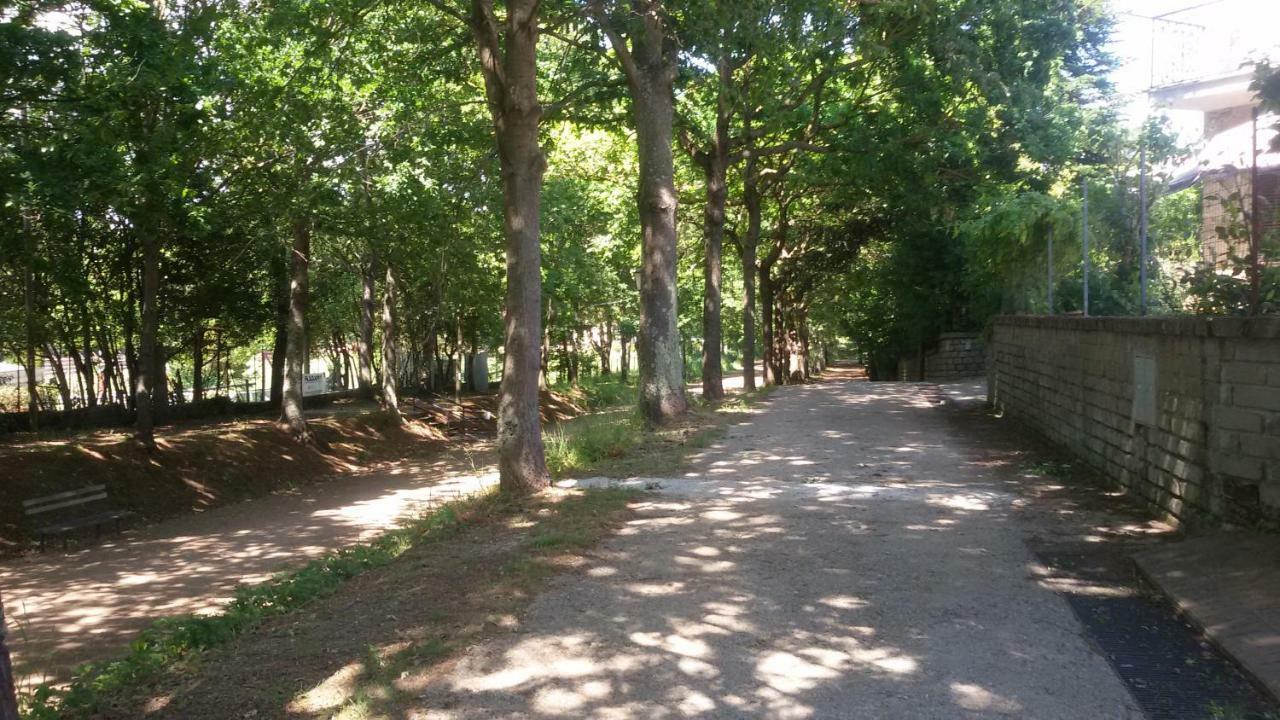 Alloggio Turistico Olmata Montevirginio Exterior foto